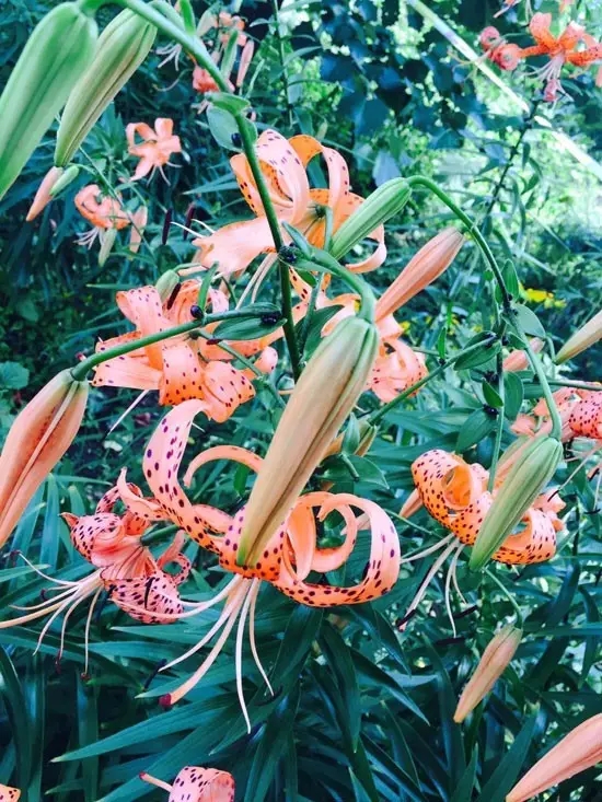 網勢旅游 本溪自駕兩日游