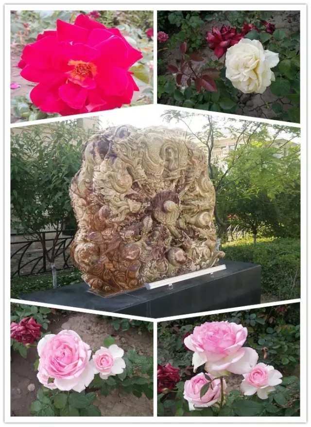 網(wǎng)勢科技6周歲生日快樂！